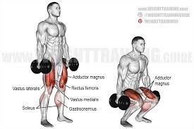 Dumbbell Squats
