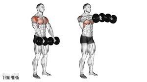 Front Raises