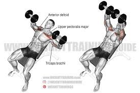 Incline Dumbbell Press