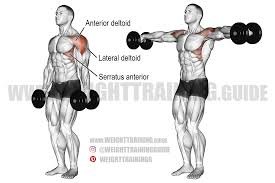 Lateral Raises