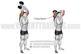 Overhead Tricep Extension